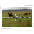 Temporary Fence (razor barbed wire)